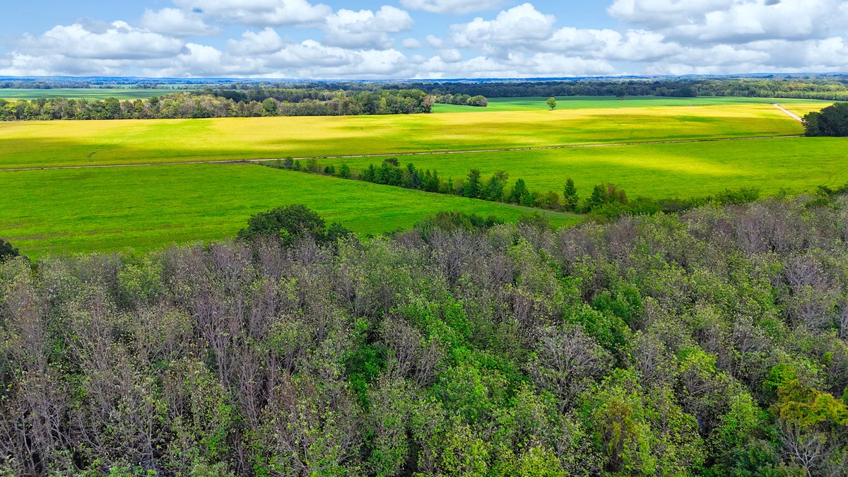 Image for Pittsburg Landing Road, Savannah TN