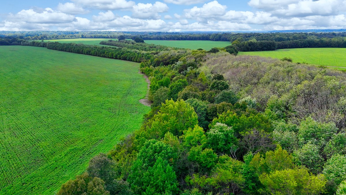 Image for Pittsburg Landing Road, Savannah TN