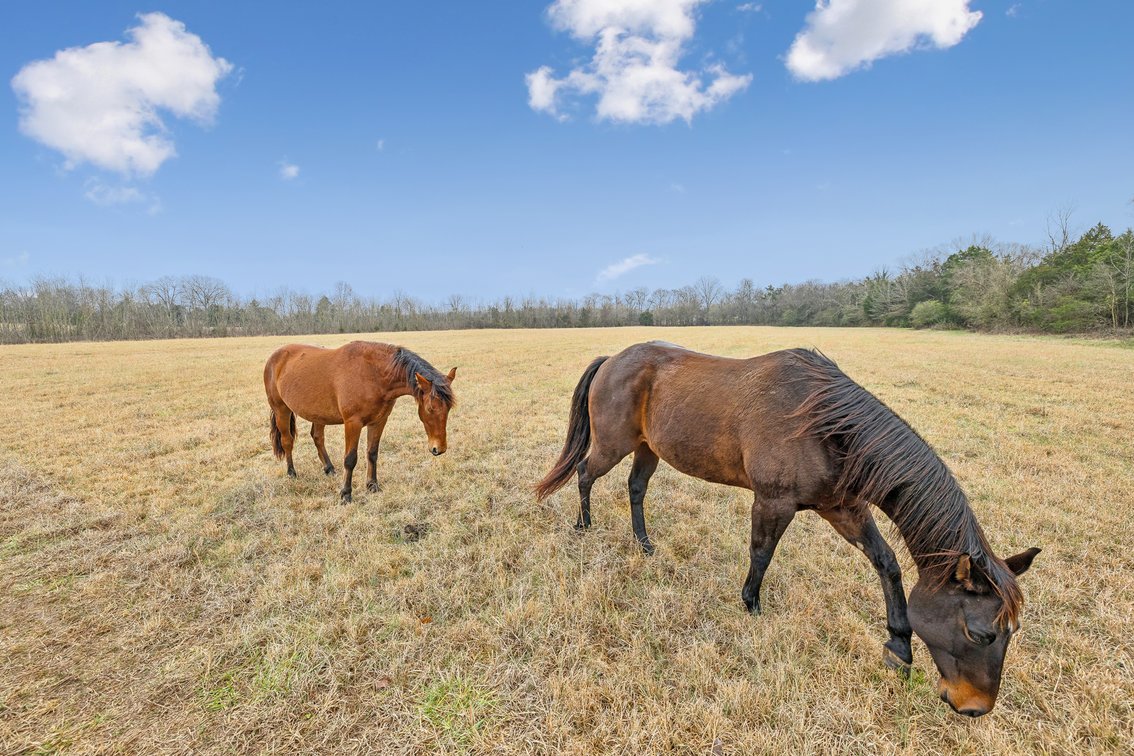 Image for 1624 Hwy. 64W, Shelbyville