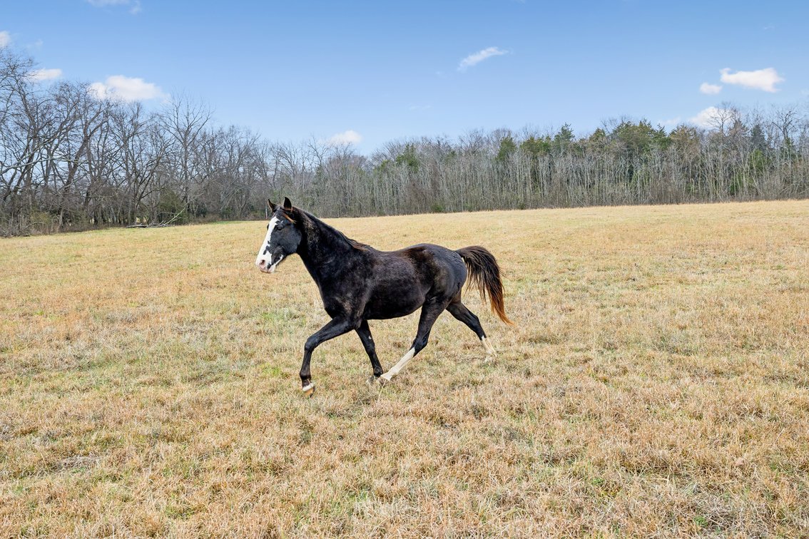 Image for 1624 Hwy. 64W, Shelbyville