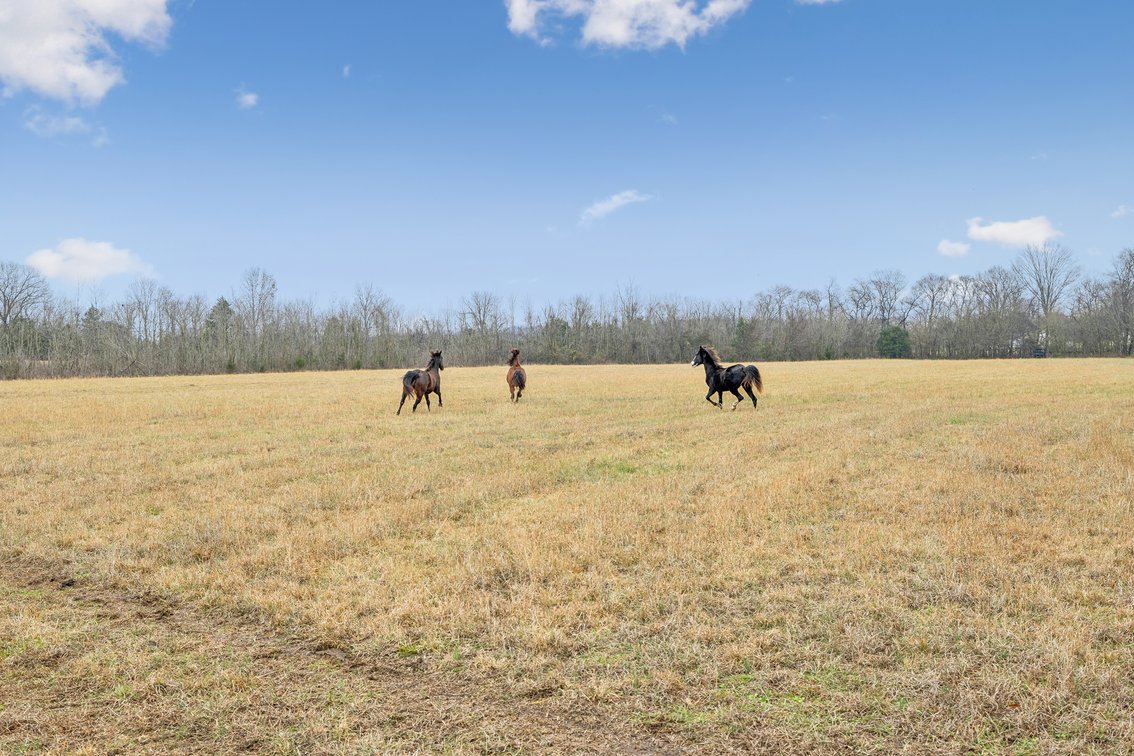Image for 1624 Hwy. 64W, Shelbyville