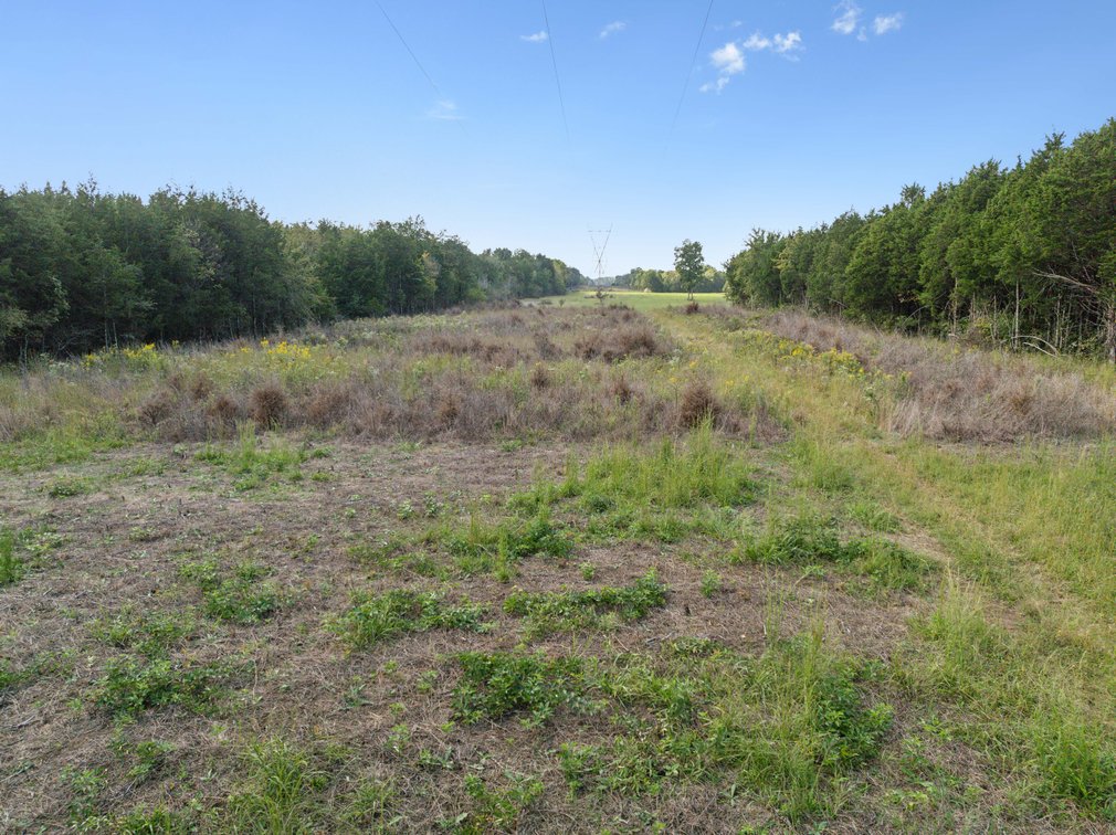 Image for Tract 2 & 3 John Bragg Hwy, Murfreesboro