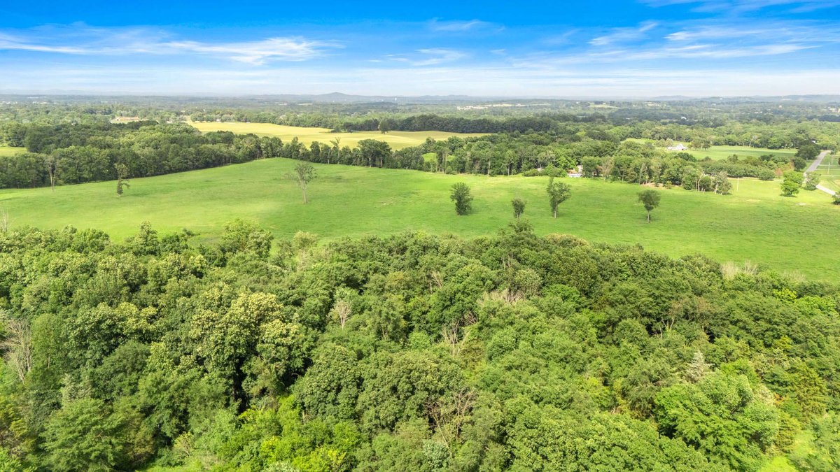 Image for 0 Dixon Road & Knight Campground Rd, Shelbyville