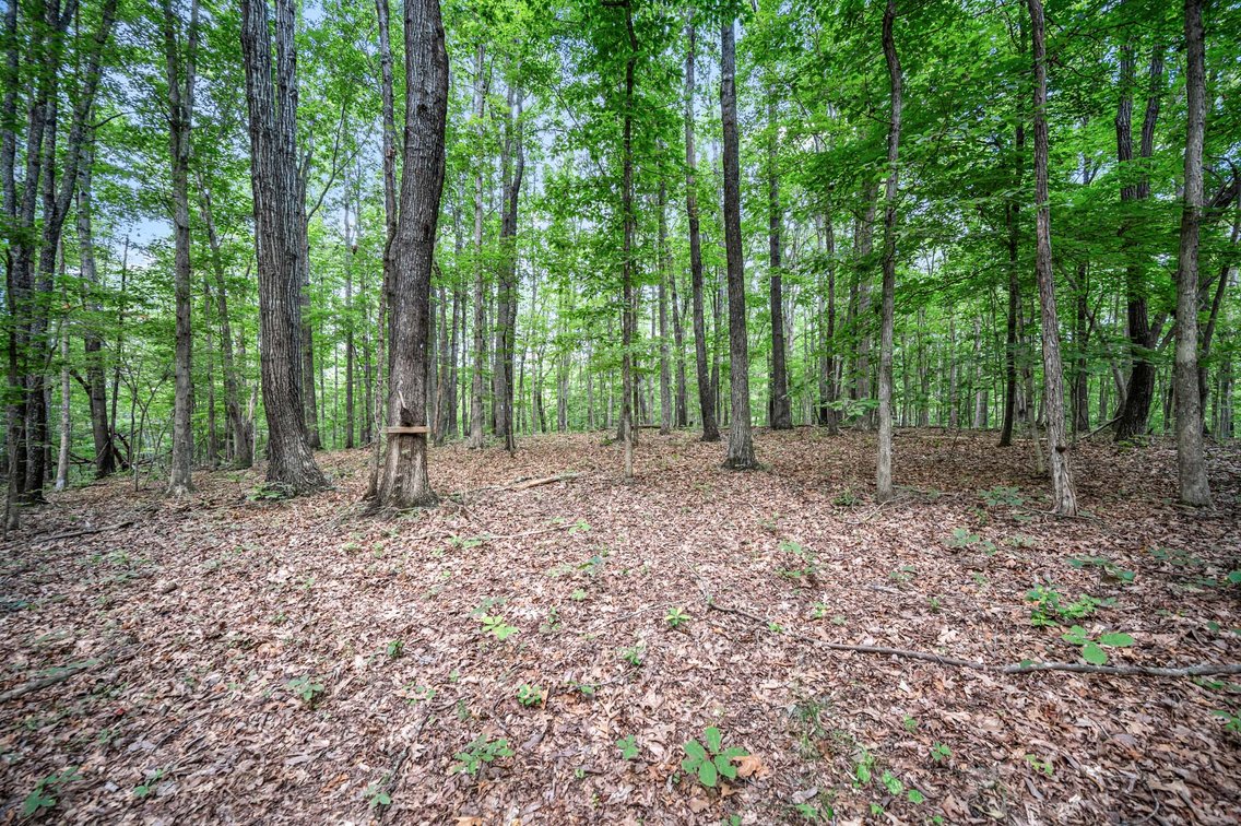 Image for 3590 Parchcorn Hollow Rd, Woodbury
