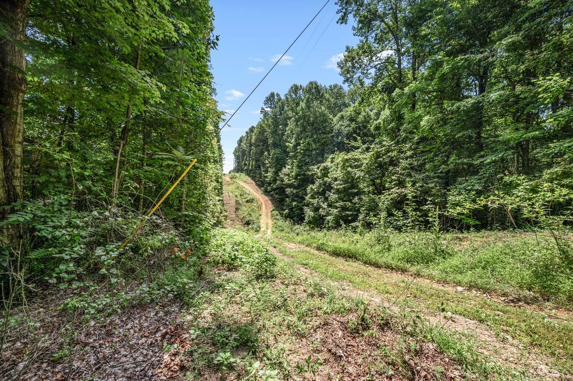 Image for 3590 Parchcorn Hollow Rd, Woodbury