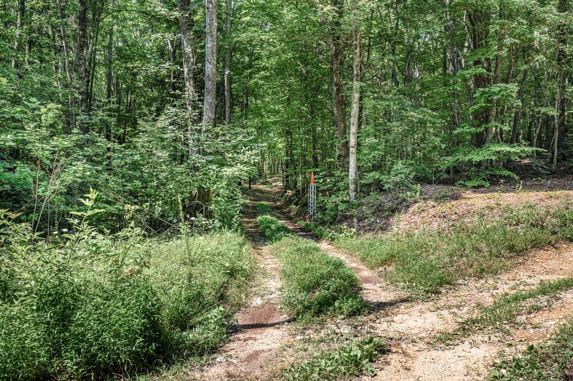 Image for 3590 Parchcorn Hollow Rd, Woodbury