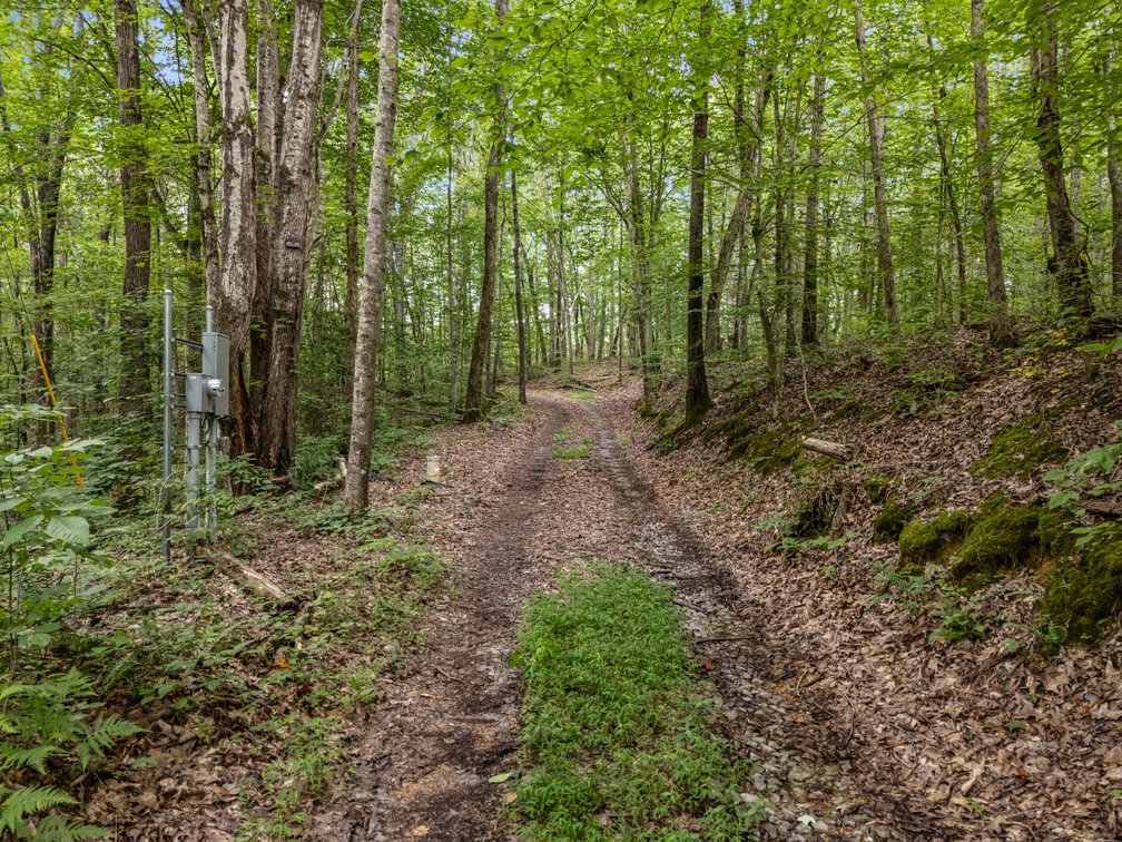 Image for 3590 Parchcorn Hollow Rd, Woodbury