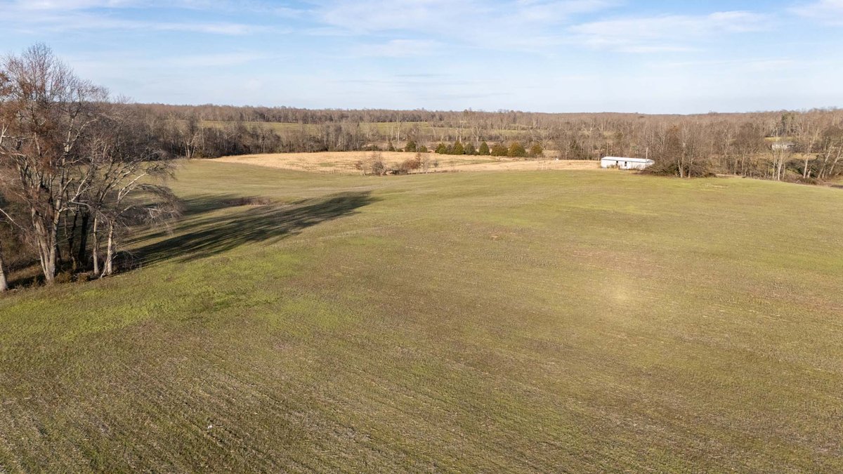 Image for Jacksboro Trail, Morrison