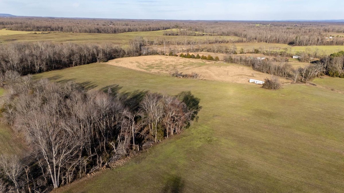 Image for Jacksboro Trail, Morrison