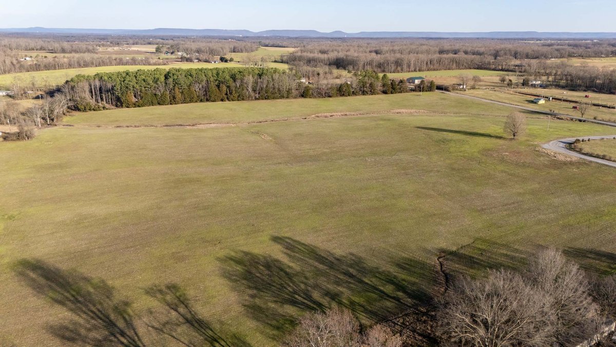 Image for Jacksboro Trail, Morrison