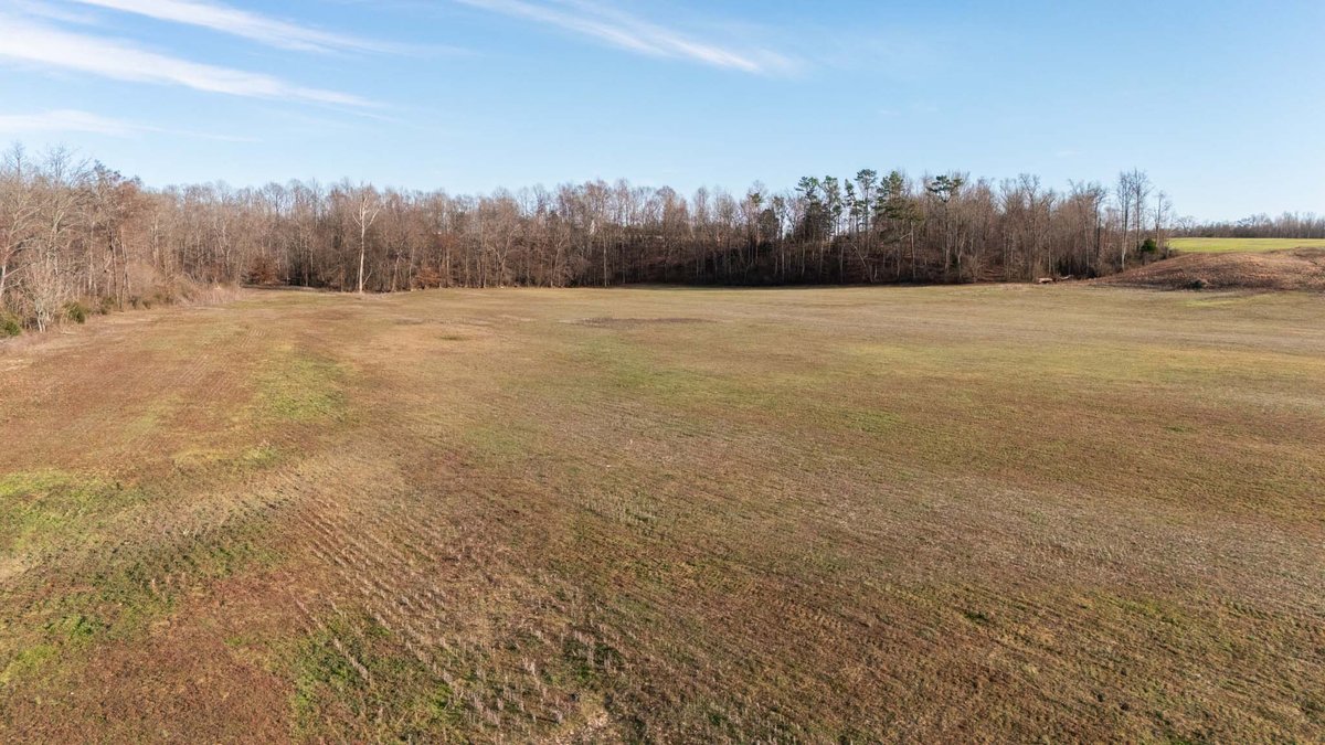 Image for Jacksboro Trail, Morrison
