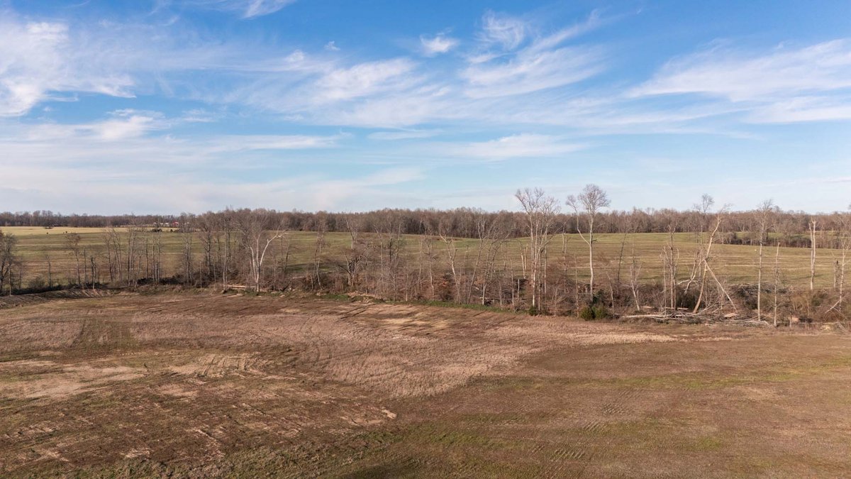 Image for Jacksboro Trail, Morrison