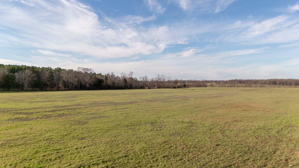 Image for Jacksboro Trail, Morrison