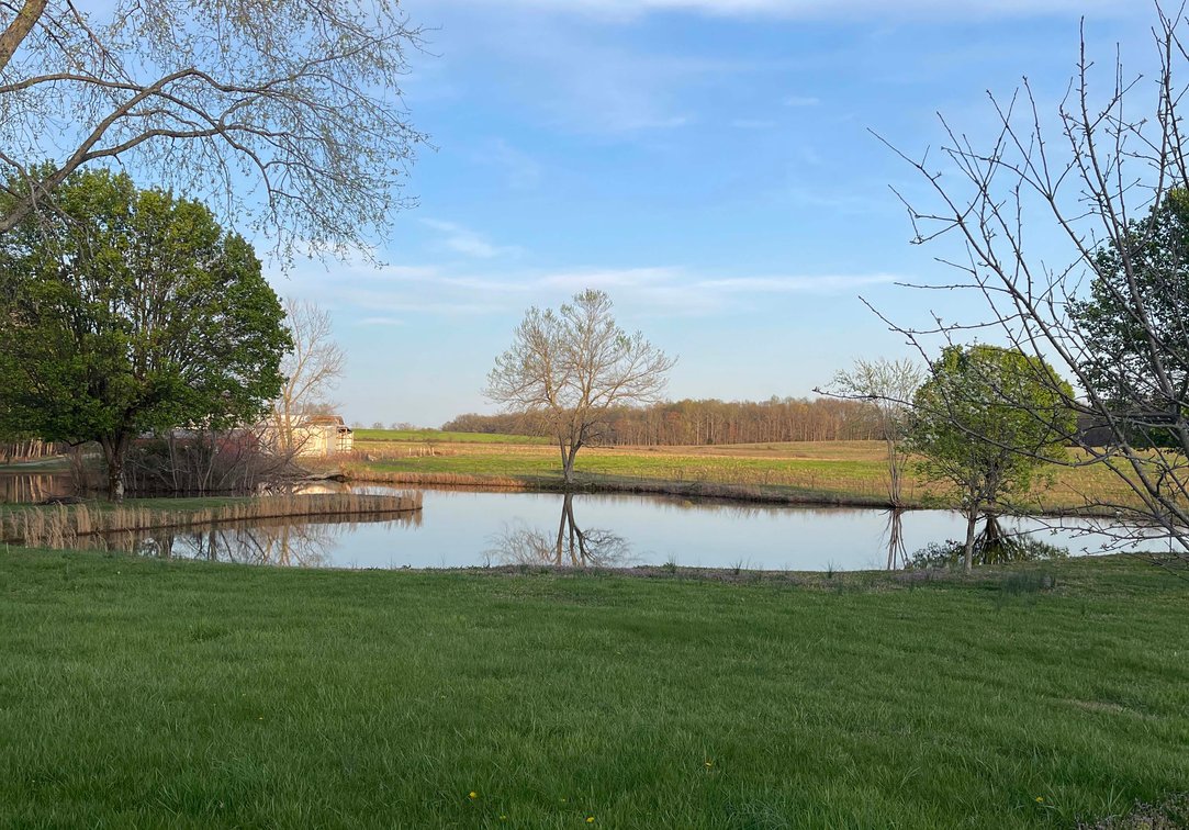 Image for Solomon Lane, Woodbury