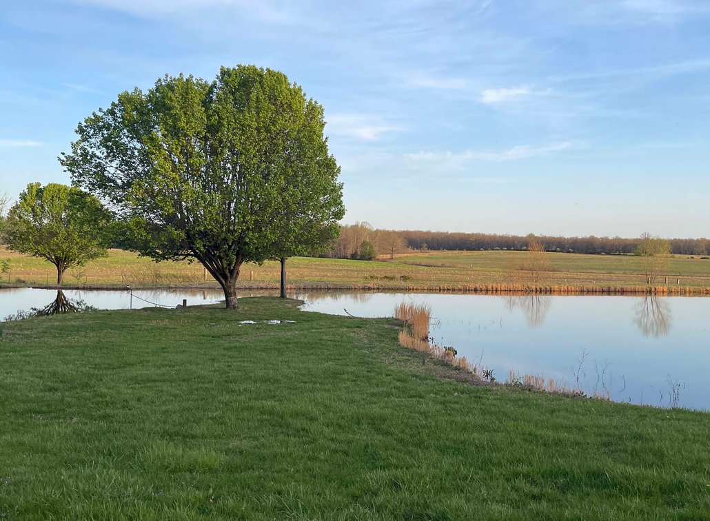 Image for Solomon Lane, Woodbury