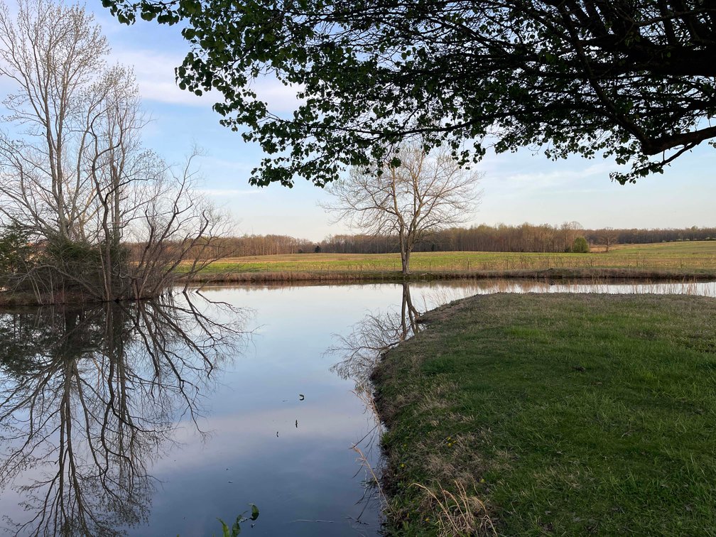 Image for Solomon Lane, Woodbury