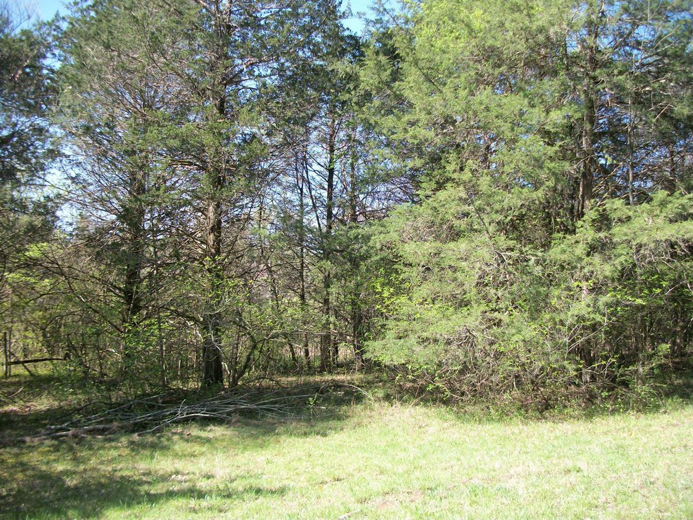 Image for 631 N Lassiter Barker Road, Readyville