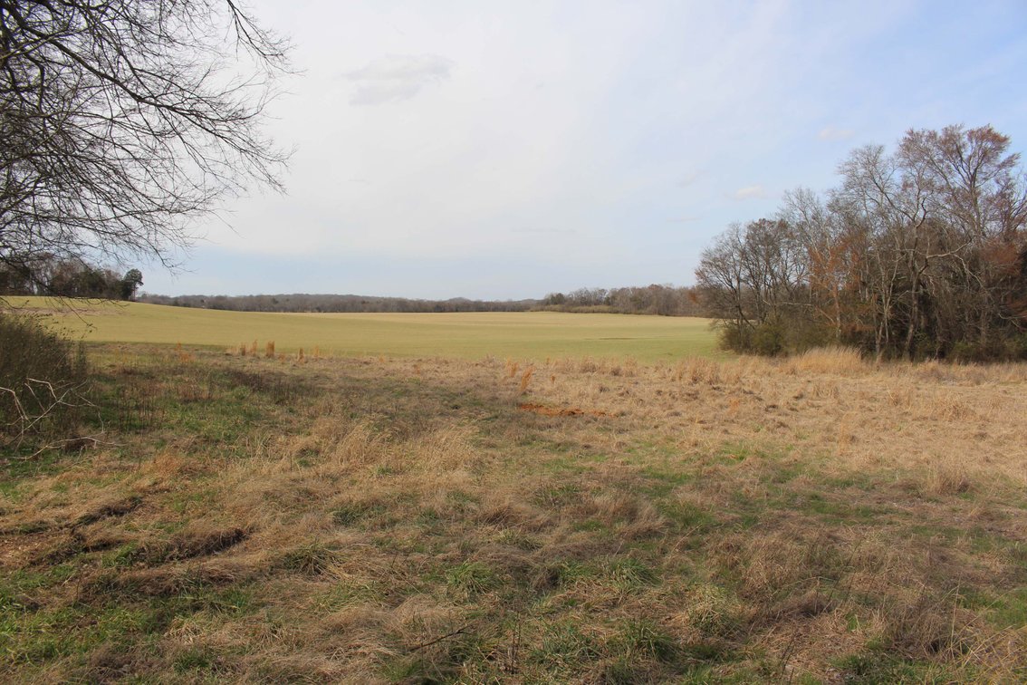 Image for 2108 Powell Lane, Lewisburg - House