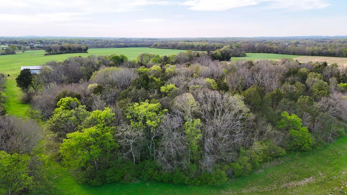 Image for 2108 Powell Lane, Lewisburg - Land