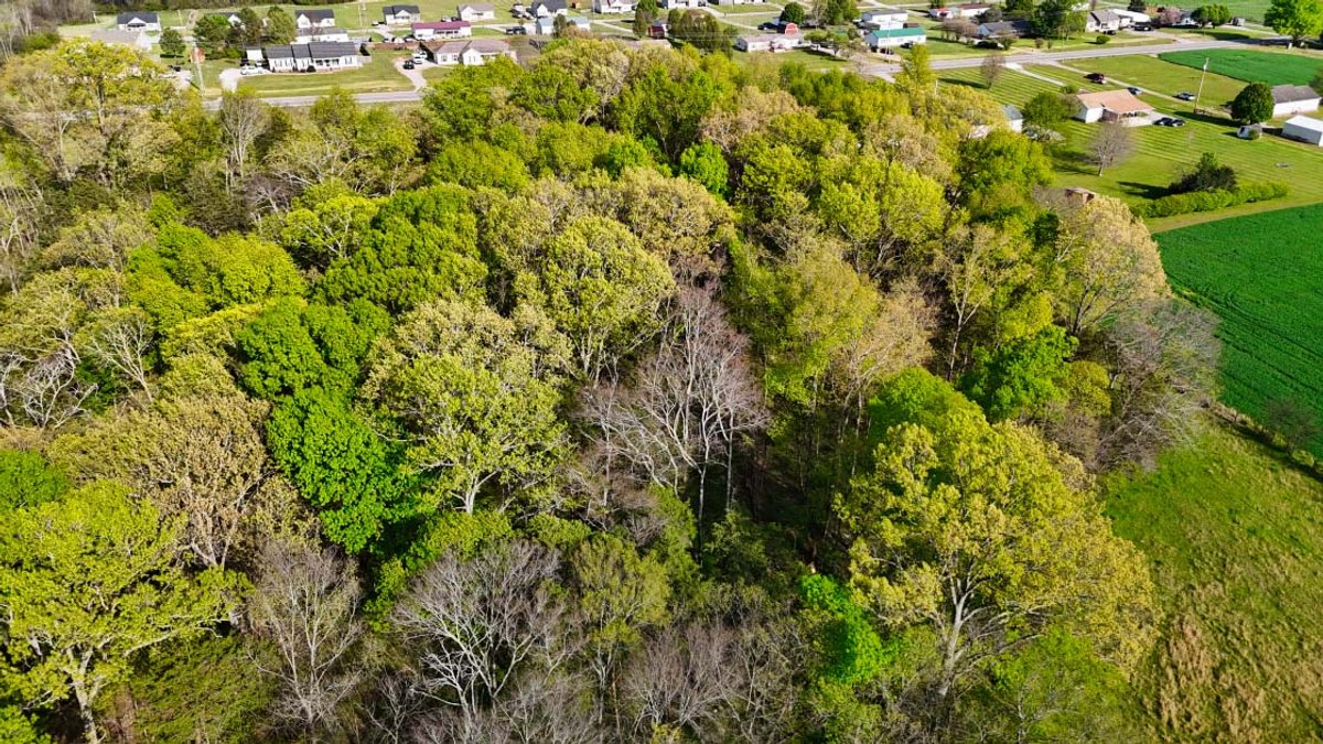 Image for 2108 Powell Lane, Lewisburg - Land