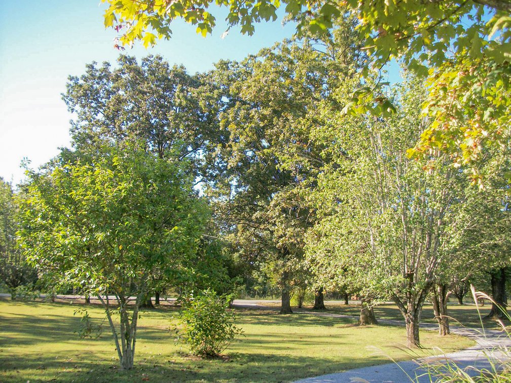 Image for 9670 Panther Creek Road, Christiana
