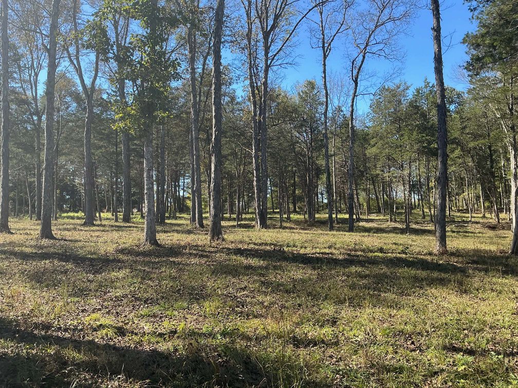 Image for Pass Road, Shelbyville