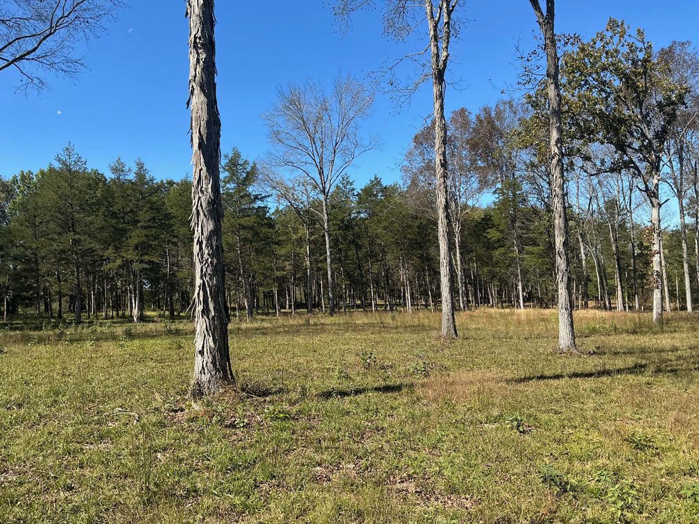 Image for Pass Road, Shelbyville