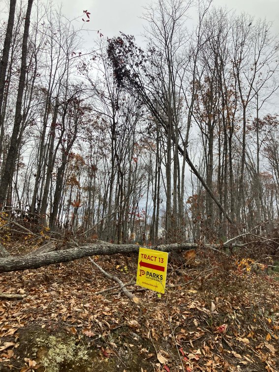 Image for Golden Acres – Mill Creek Rd, Sunbright, TN