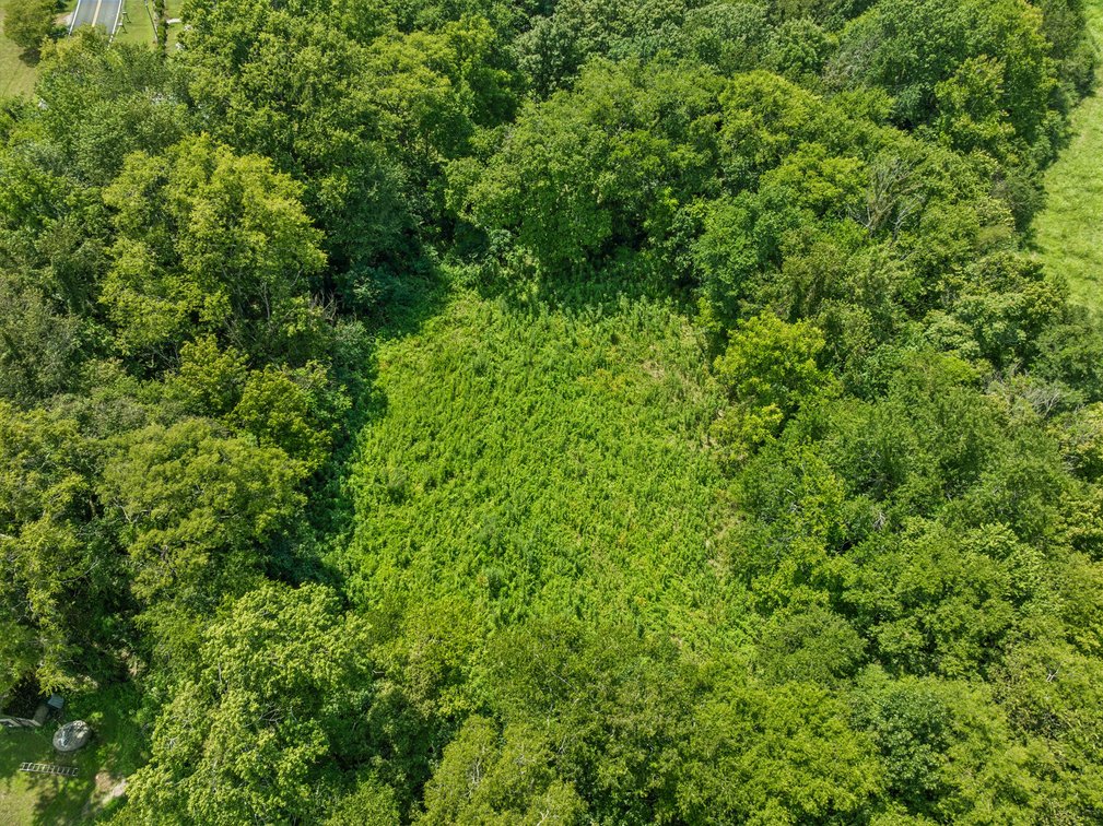 Image for 6996 Arno Allisona Road, College Grove