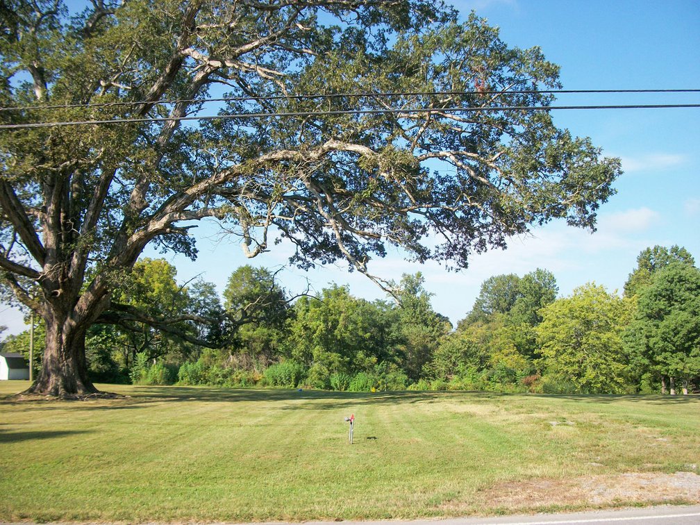 Image for Old McMinnville Highway, Woodbury