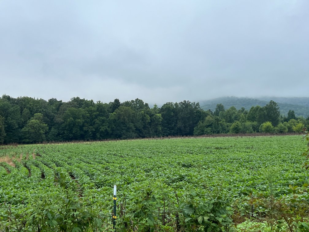 Image for 836 Spur Rd, Decherd