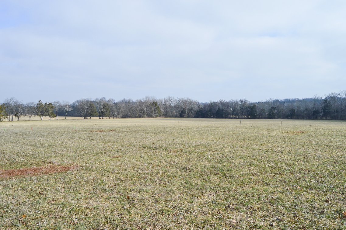 Image for 447 Pepper Hill Road, Bell Buckle