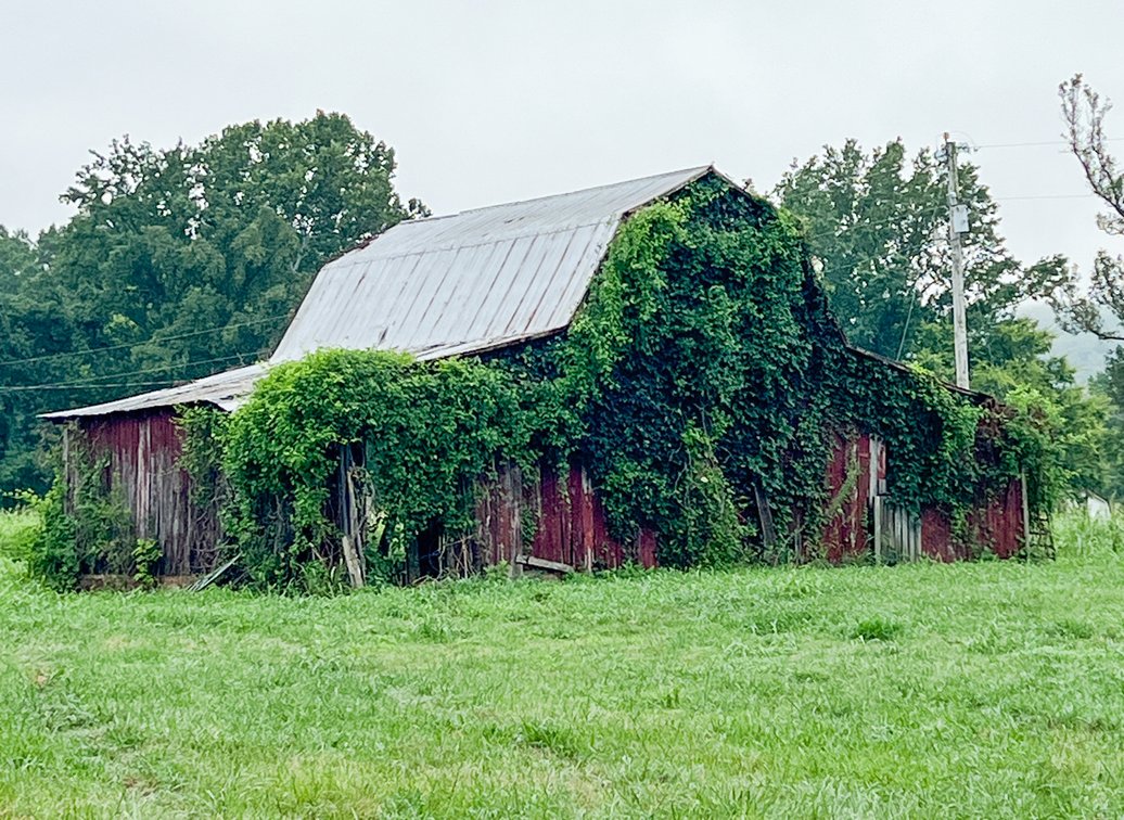 Image for 836 & 812 Spur Road, Decherd