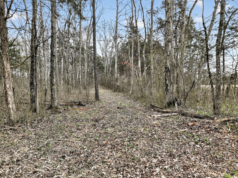 Image for 181 Sims Spring Road, Lewisburg