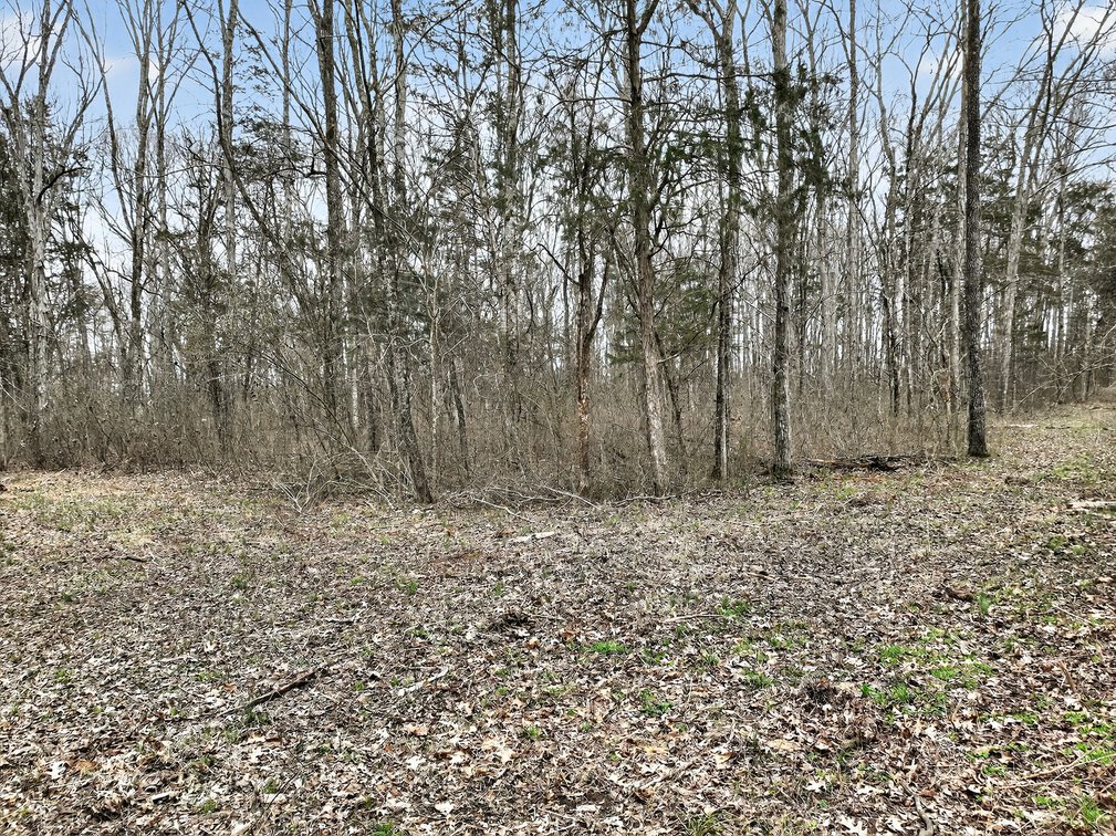 Image for 181 Sims Spring Road, Lewisburg