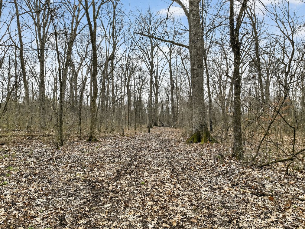 Image for 181 Sims Spring Road, Lewisburg