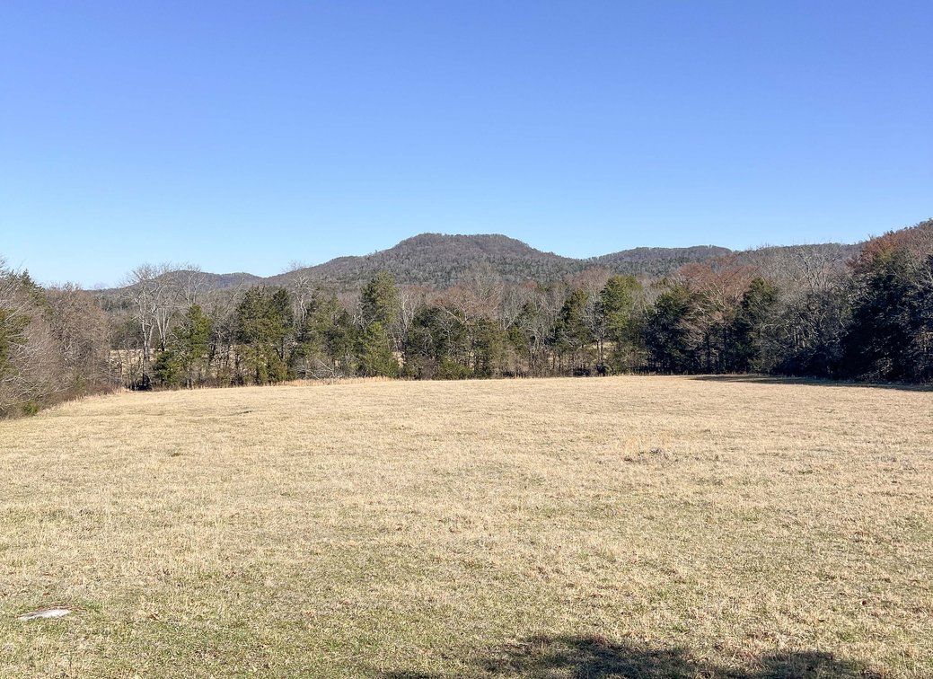 Image for Northcutt Road, Milton