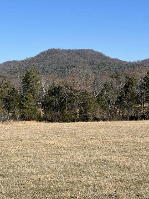 Image for Northcutt Road, Milton