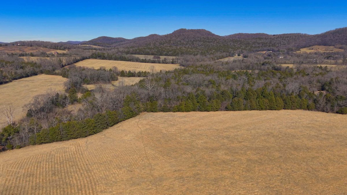Image for Northcutt Road, Milton
