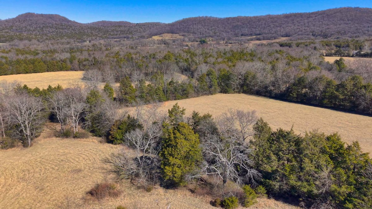 Image for Northcutt Road, Milton