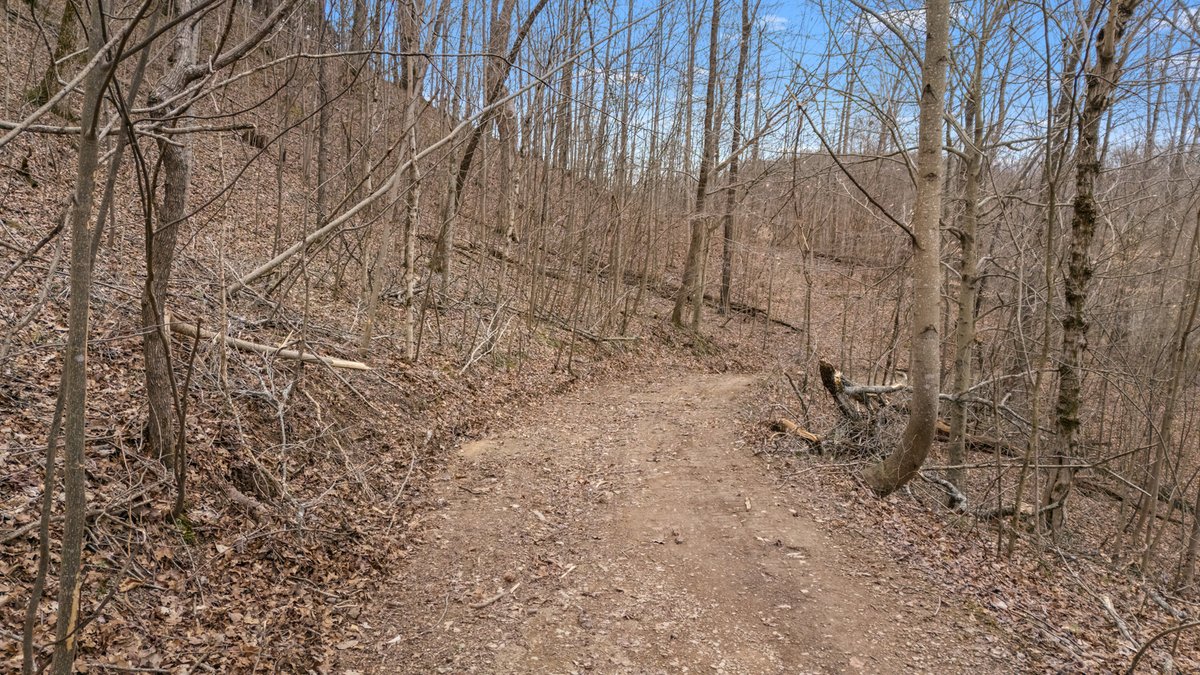 Image for 640 Lindsey Hollow Road, Gallatin