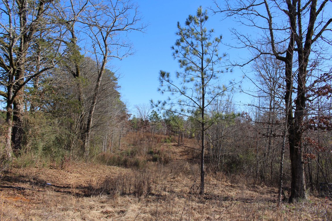 Image for 1031 Ridge Road, Savannah
