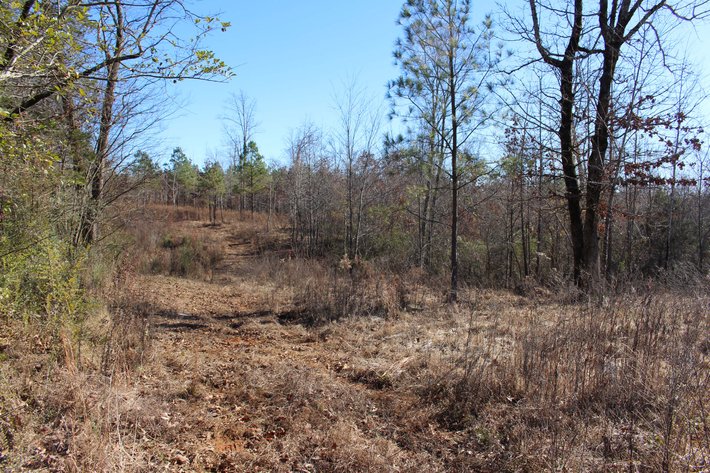 Image for 1031 Ridge Road, Savannah