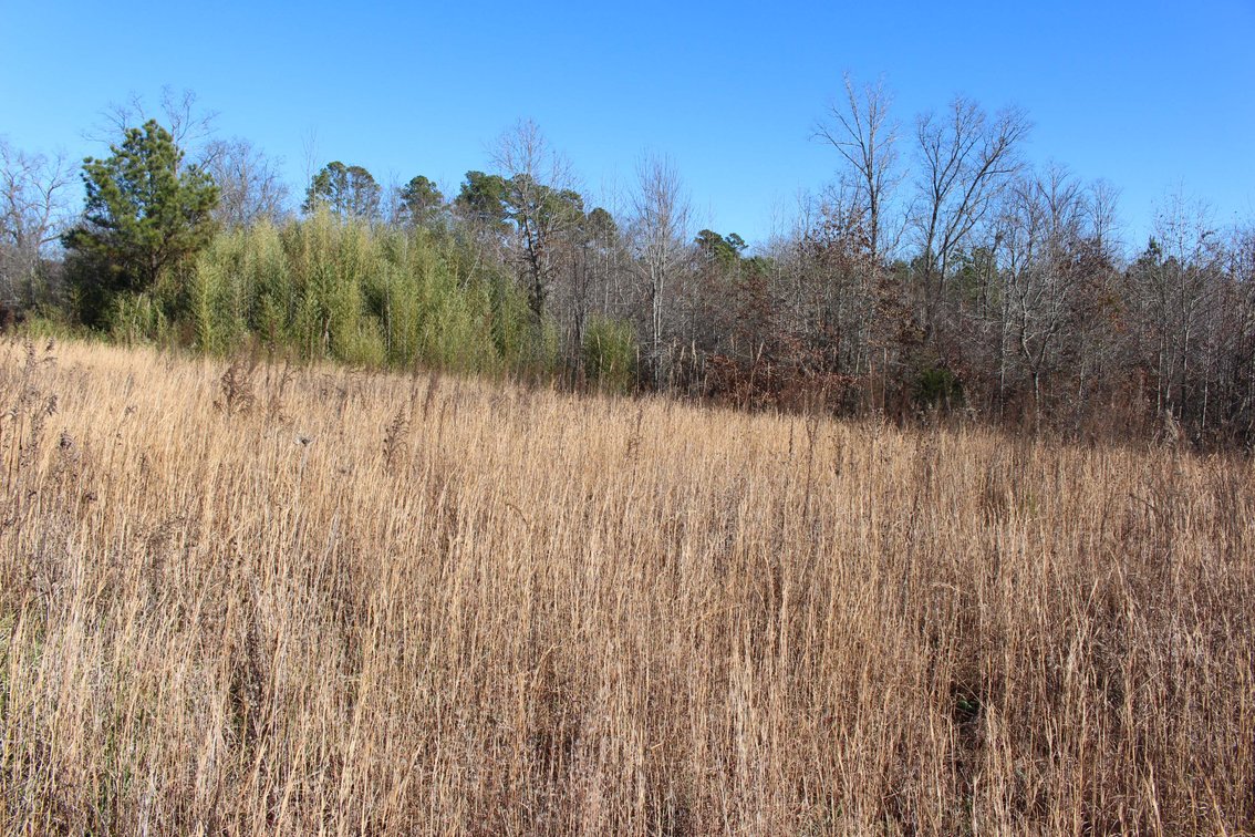 Image for 1031 Ridge Road, Savannah