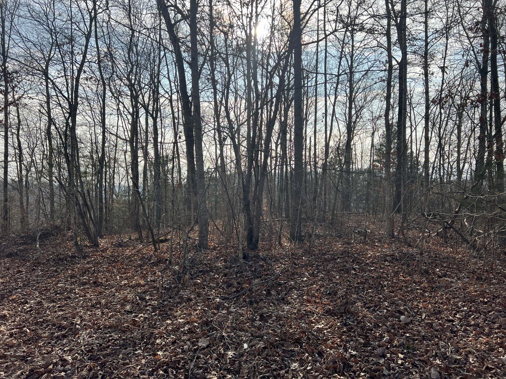 Image for Colepin Ridge Road, Celina