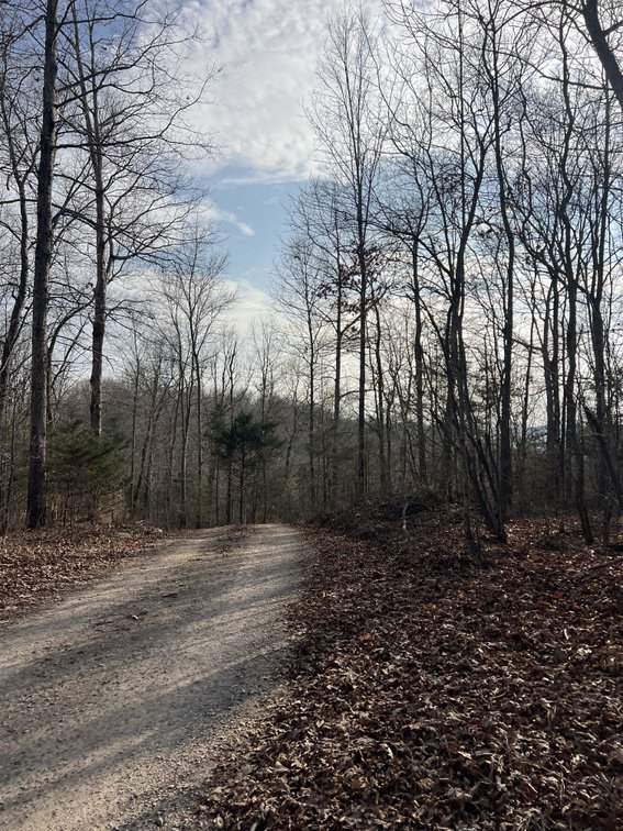 Image for Colepin Ridge Road, Celina