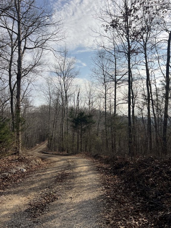 Image for Colepin Ridge Road, Celina