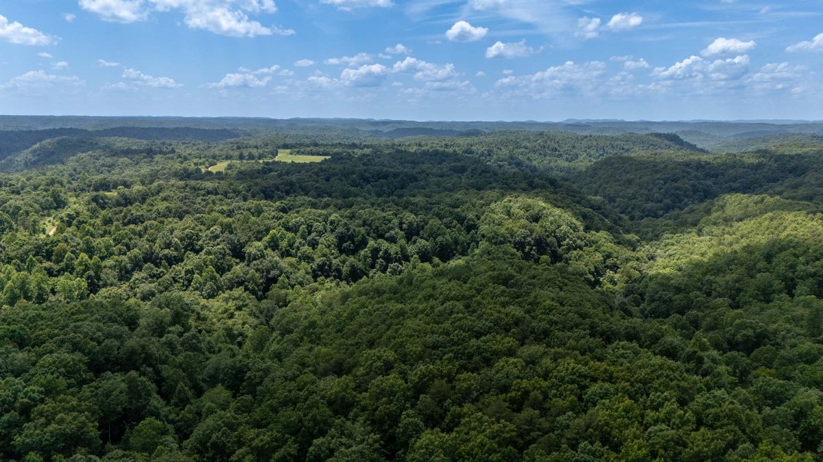 Image for 3772 Pea Ridge Rd, DeKalb County