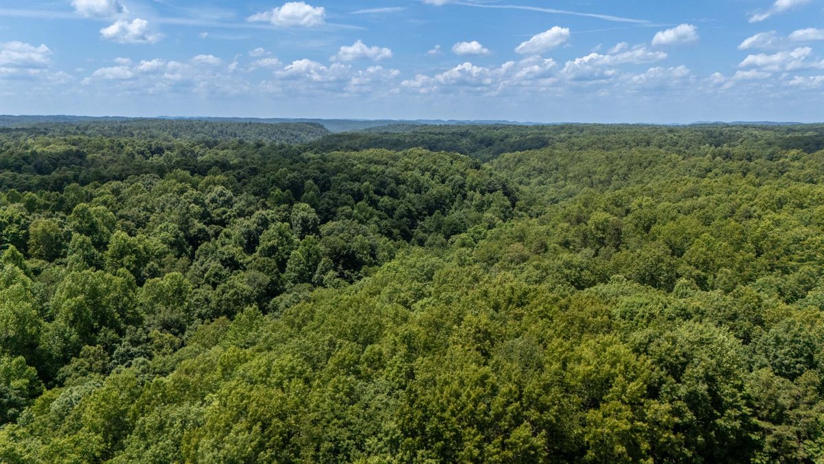 Image for 3772 Pea Ridge Rd, DeKalb County