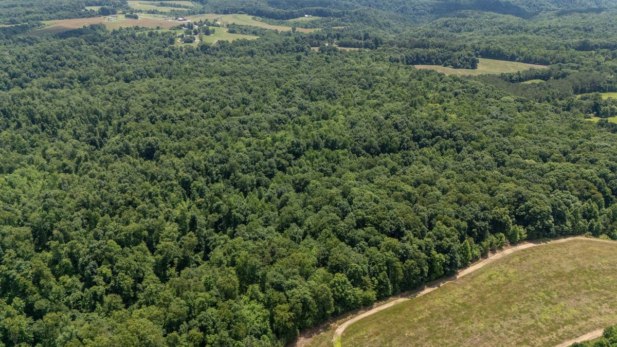 Image for 3772 Pea Ridge Rd, DeKalb County